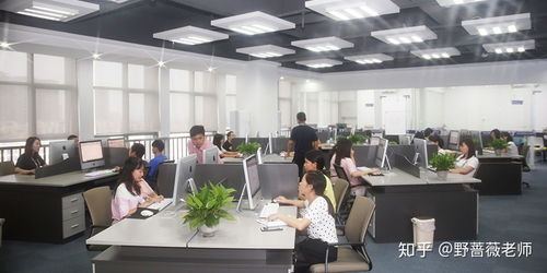 東莞東城電商淘寶運(yùn)營(yíng)與美工培訓(xùn) 賦能企業(yè)，開啟數(shù)字商業(yè)新篇章