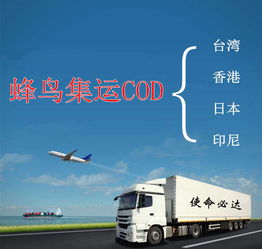 東莞電子商務(wù) 上門收快遞報(bào)價(jià)服務(wù)助力廠家高效物流